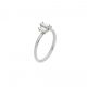 Anillo Light / Beam baguettes