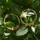 Pendientes 3-Tsu