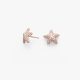 Pendientes Classic Rose Stars